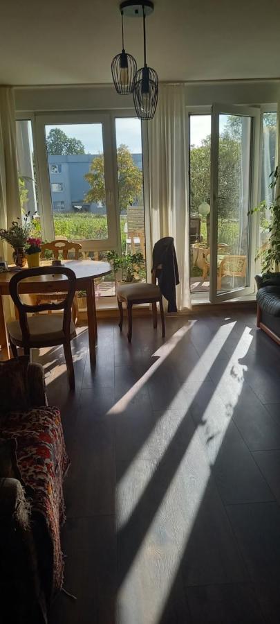 Gruene Stadtwohnung ザールブリュッケン エクステリア 写真
